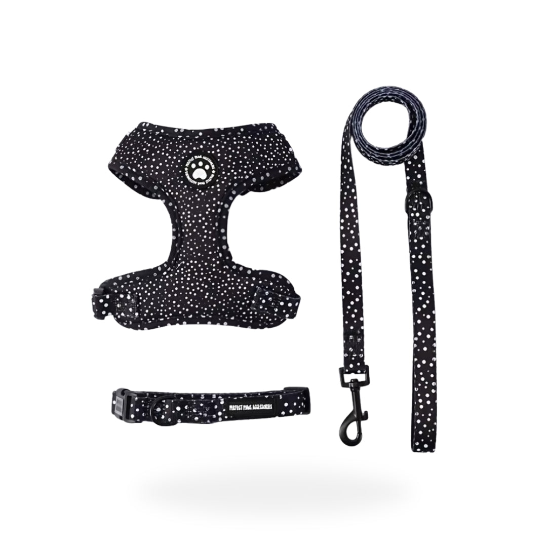 Black Polkadot Set