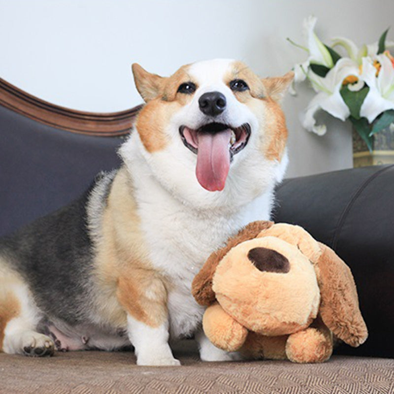 Anxiety Dog Heartbeat Soft Toy - hugostreats